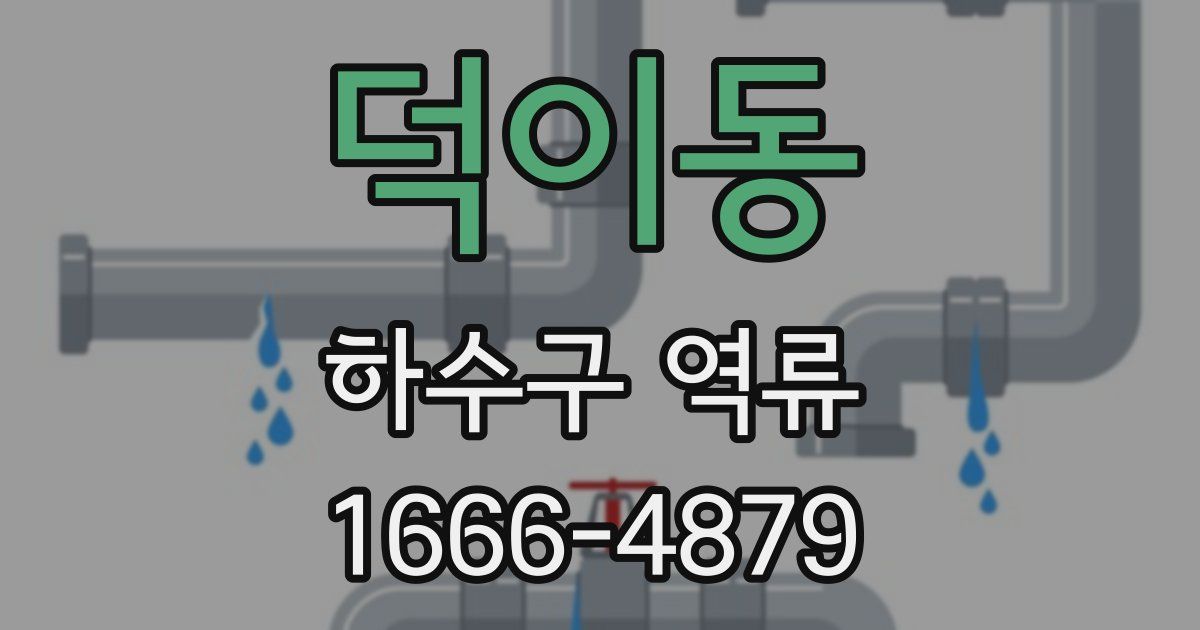 덕이동 하수구 역류