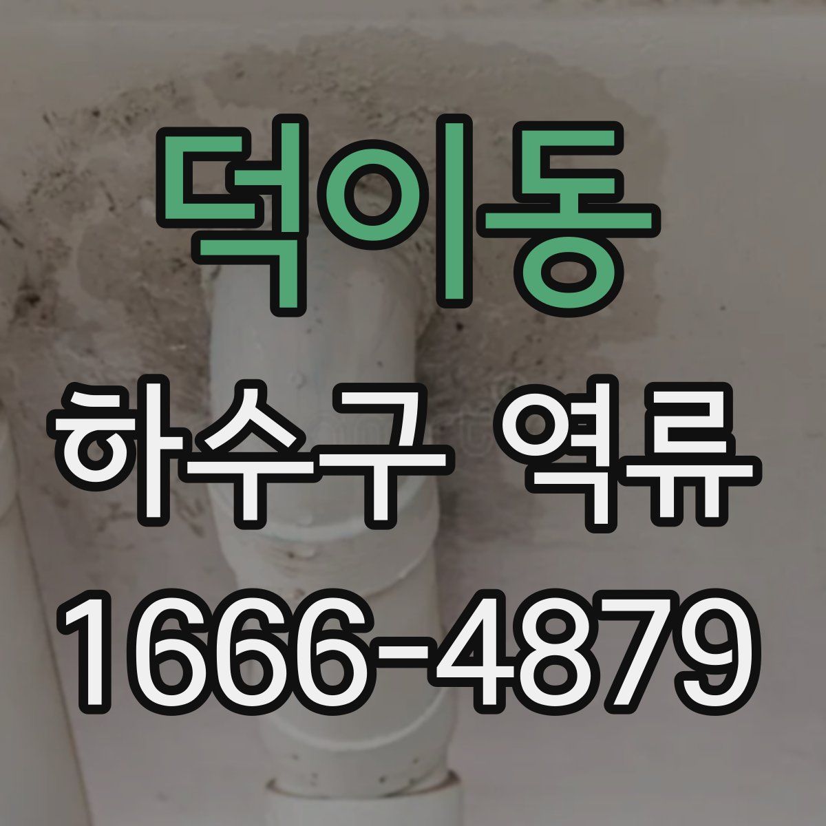 덕이동 하수구 역류
