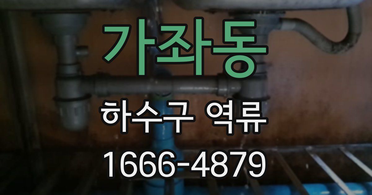 가좌동 하수구 역류