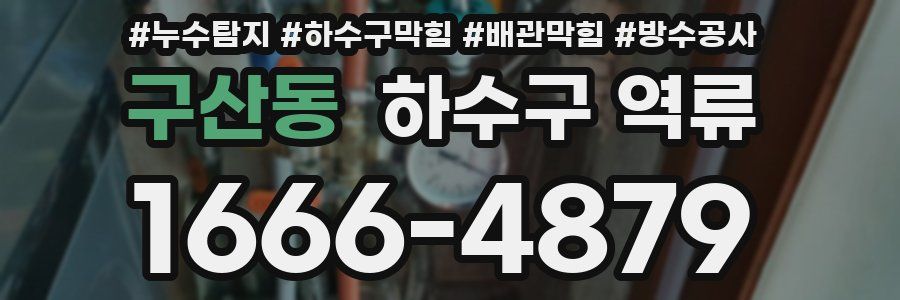 구산동 하수구 역류