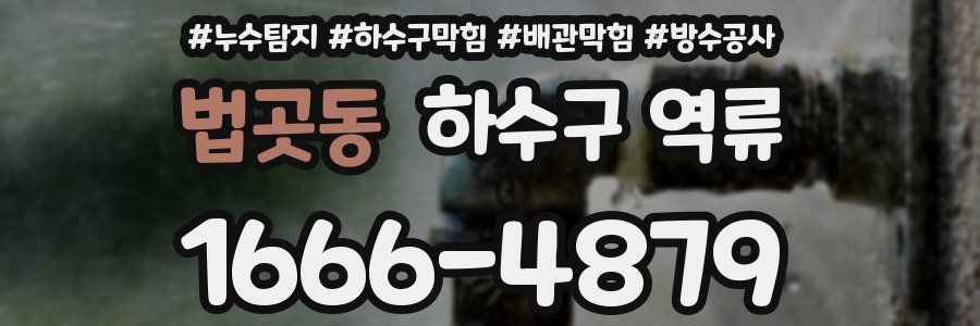 법곳동 하수구 역류
