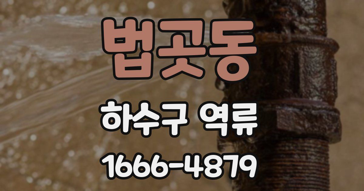 법곳동 하수구 역류