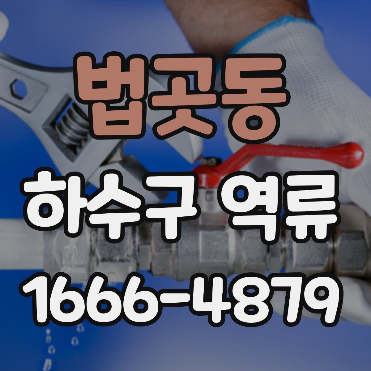 법곳동 하수구 역류