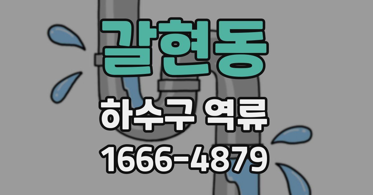갈현동 하수구 역류