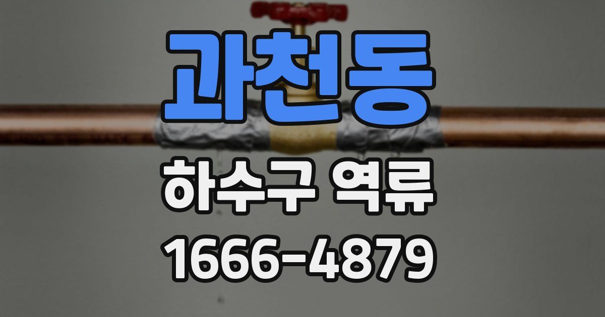 과천동 하수구 역류