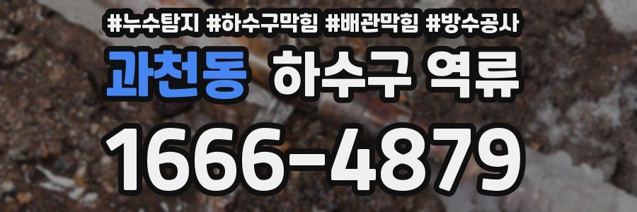 과천동 하수구 역류