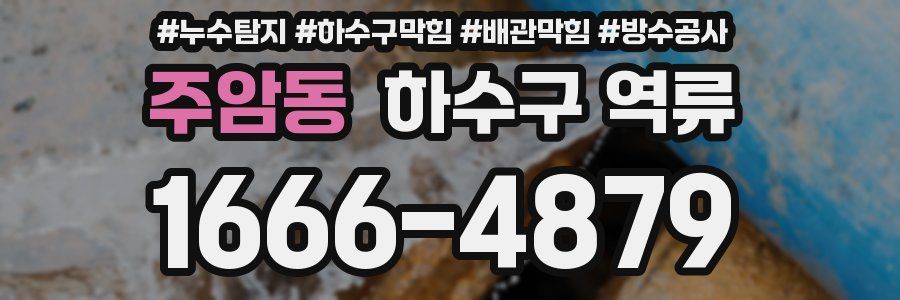 주암동 하수구 역류