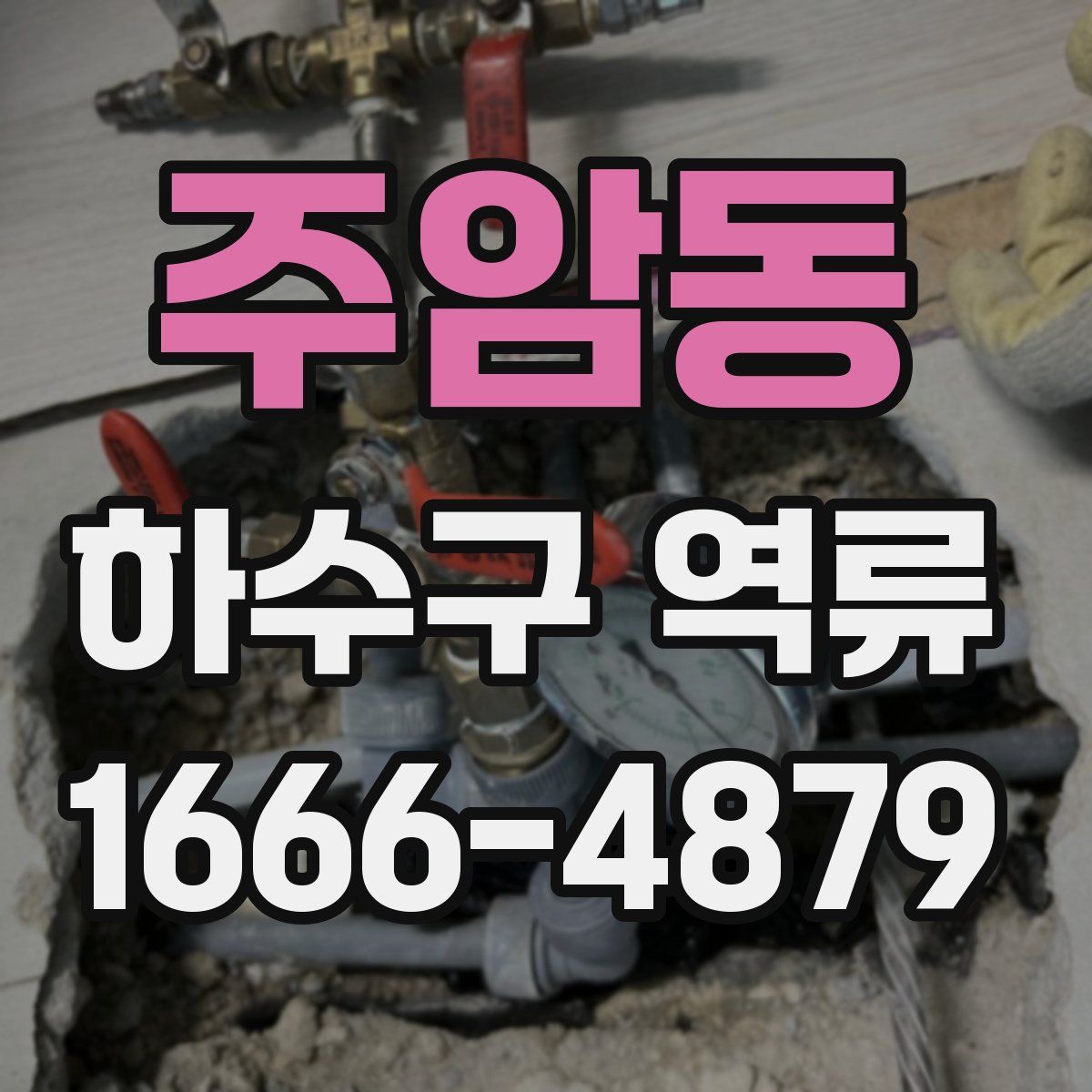 주암동 하수구 역류