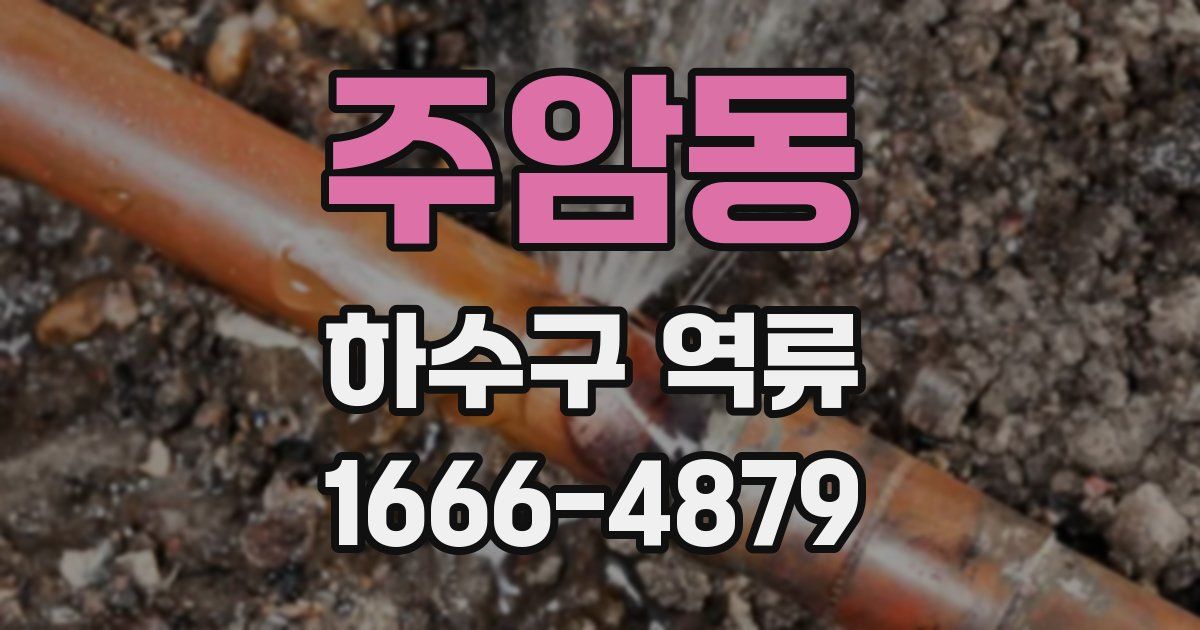 주암동 하수구 역류