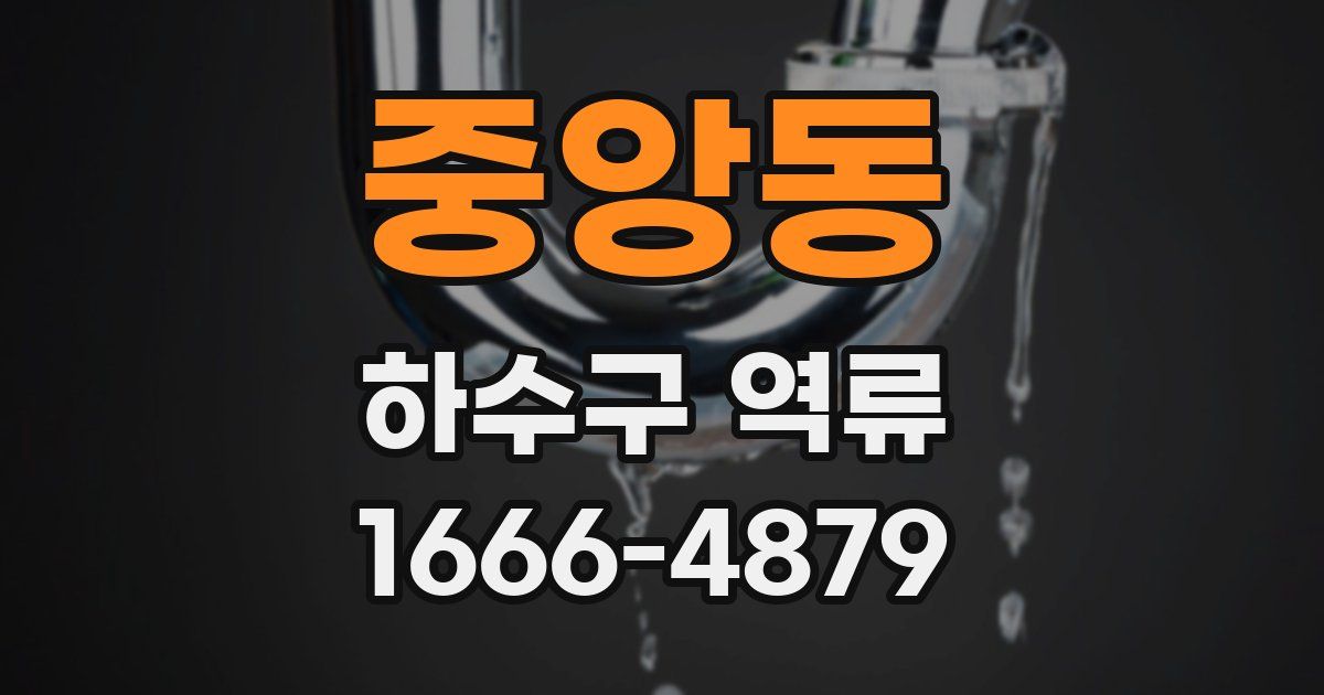 중앙동 하수구 역류