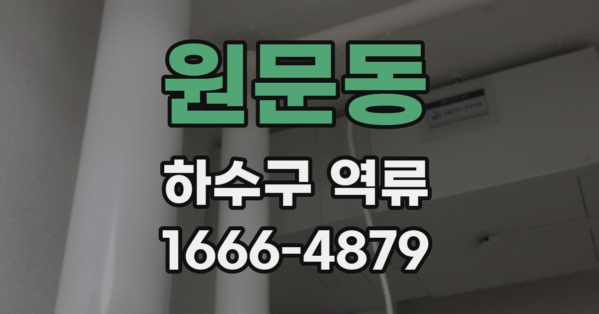 원문동 하수구 역류