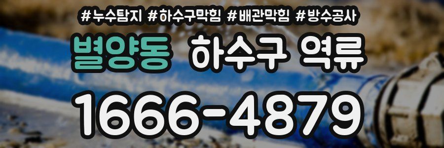별양동 하수구 역류