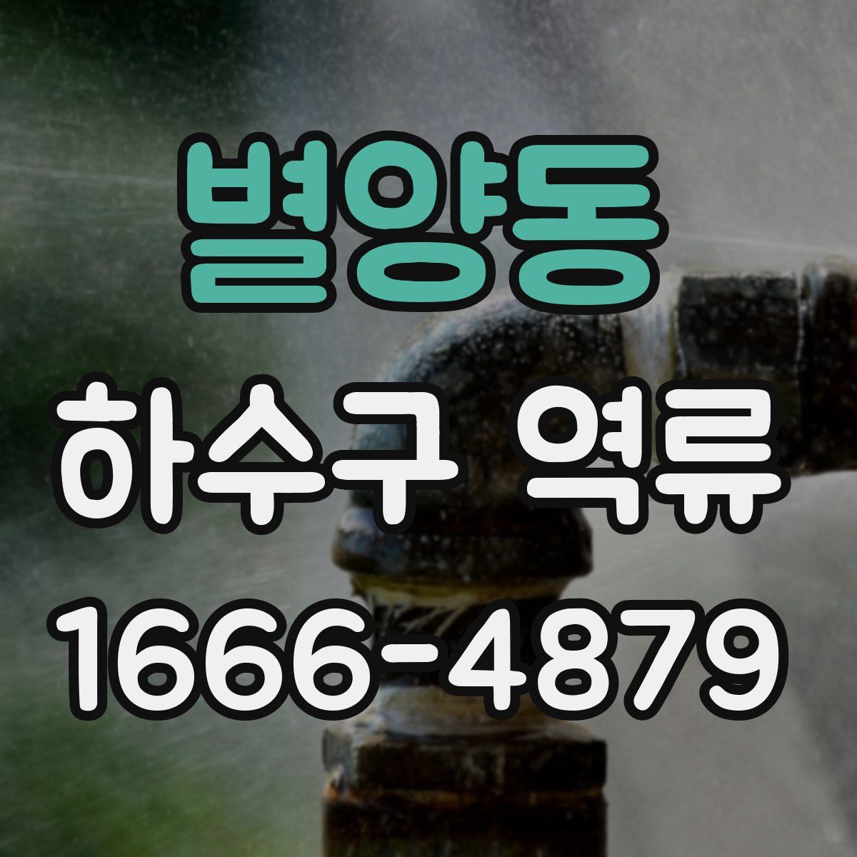 별양동 하수구 역류