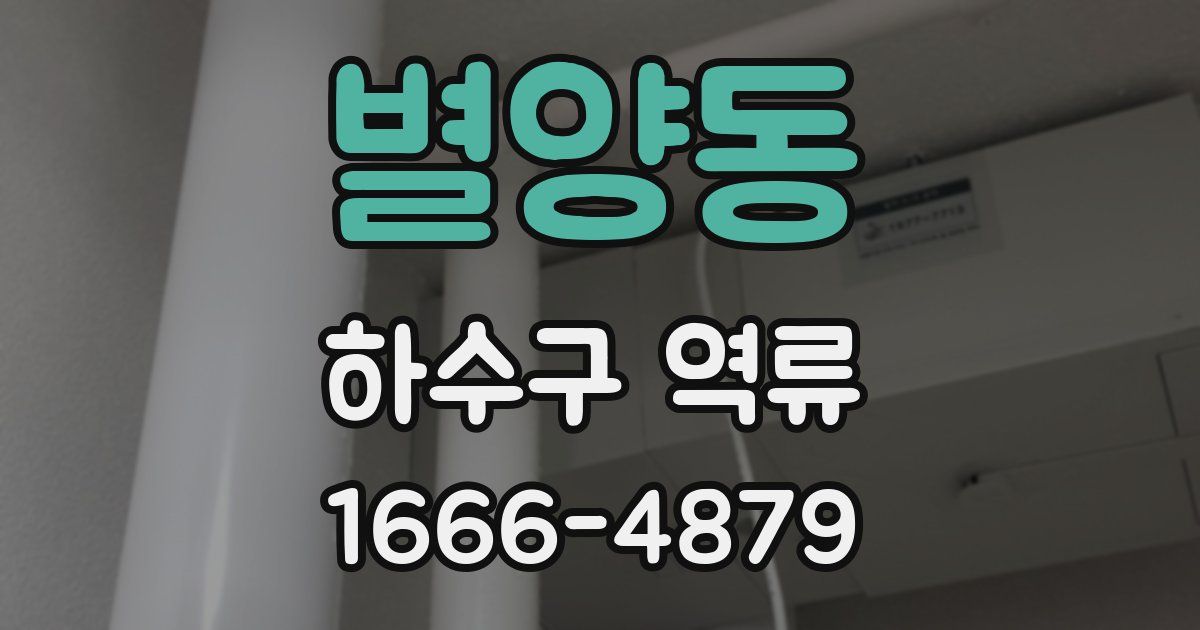 별양동 하수구 역류