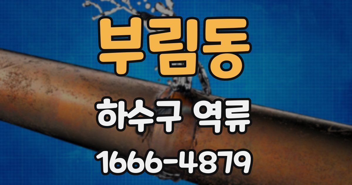 부림동 하수구 역류