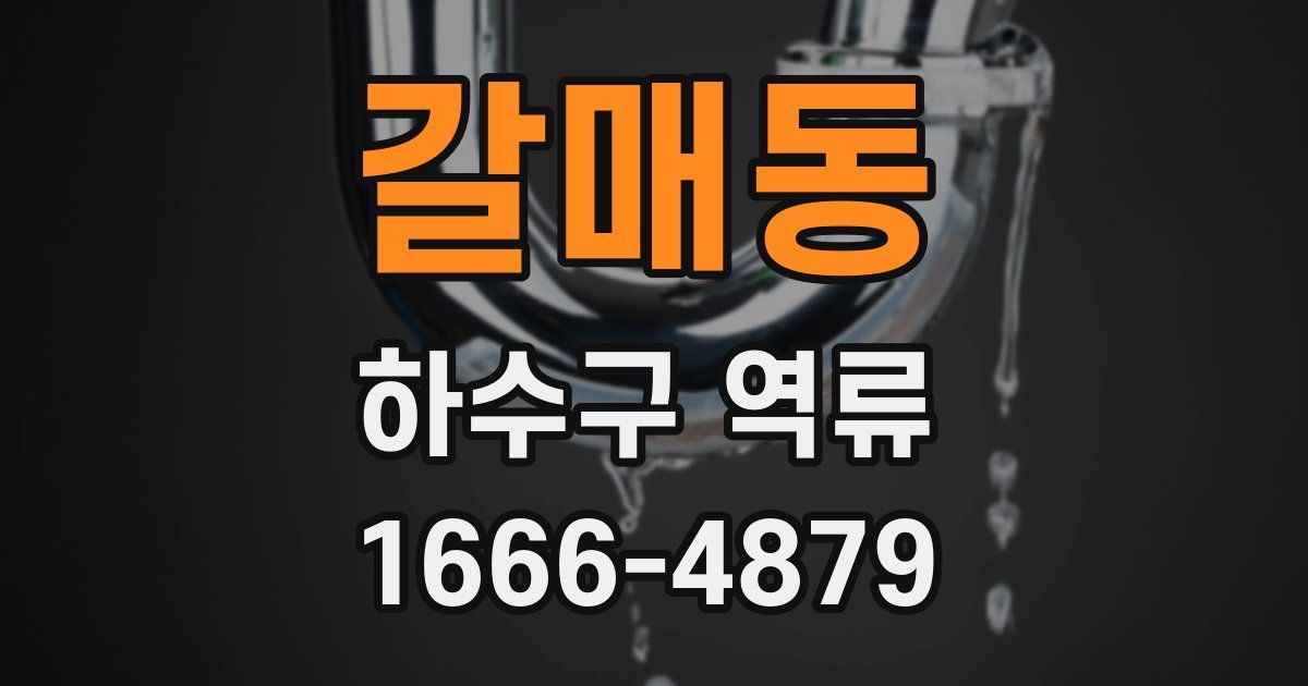 갈매동 하수구 역류