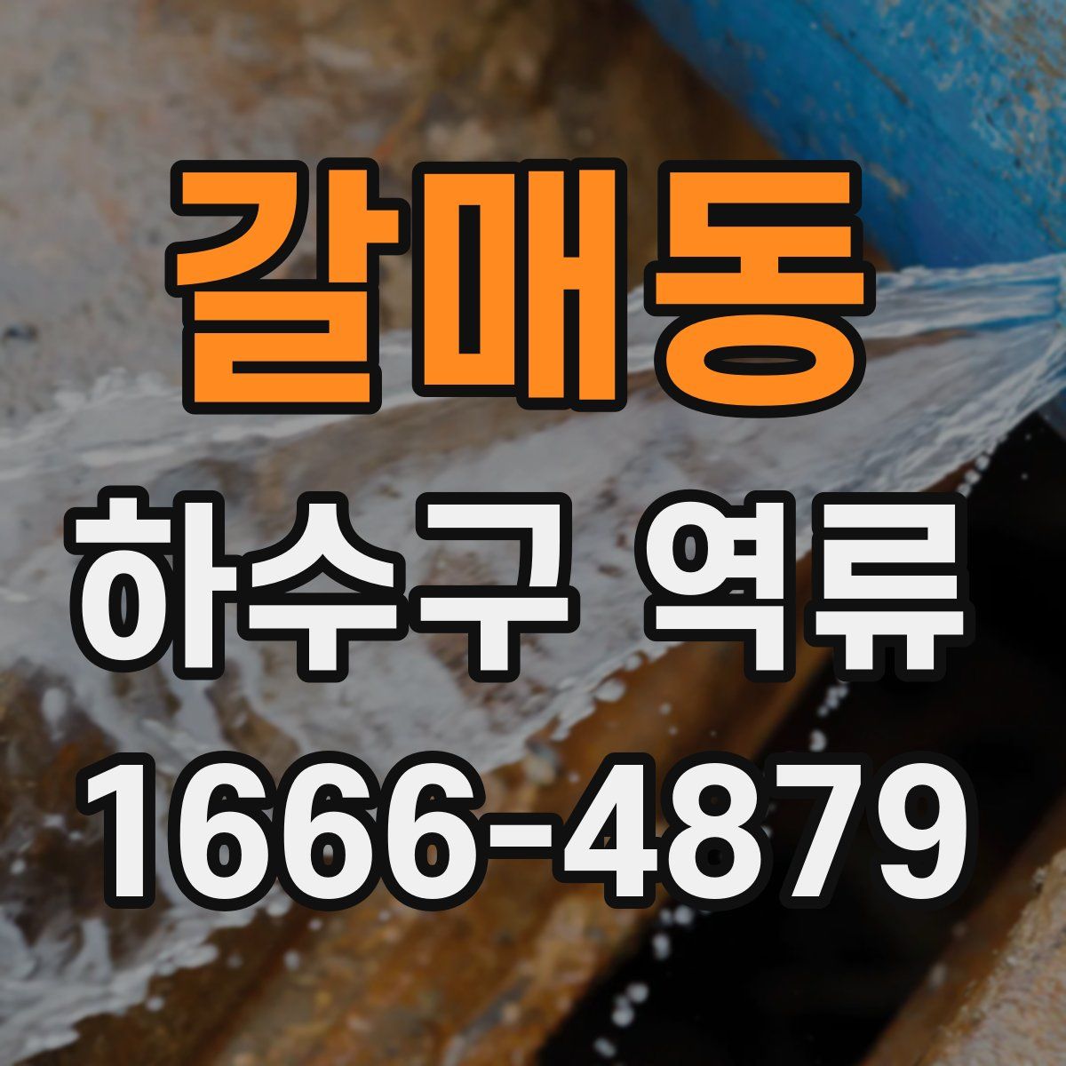 갈매동 하수구 역류