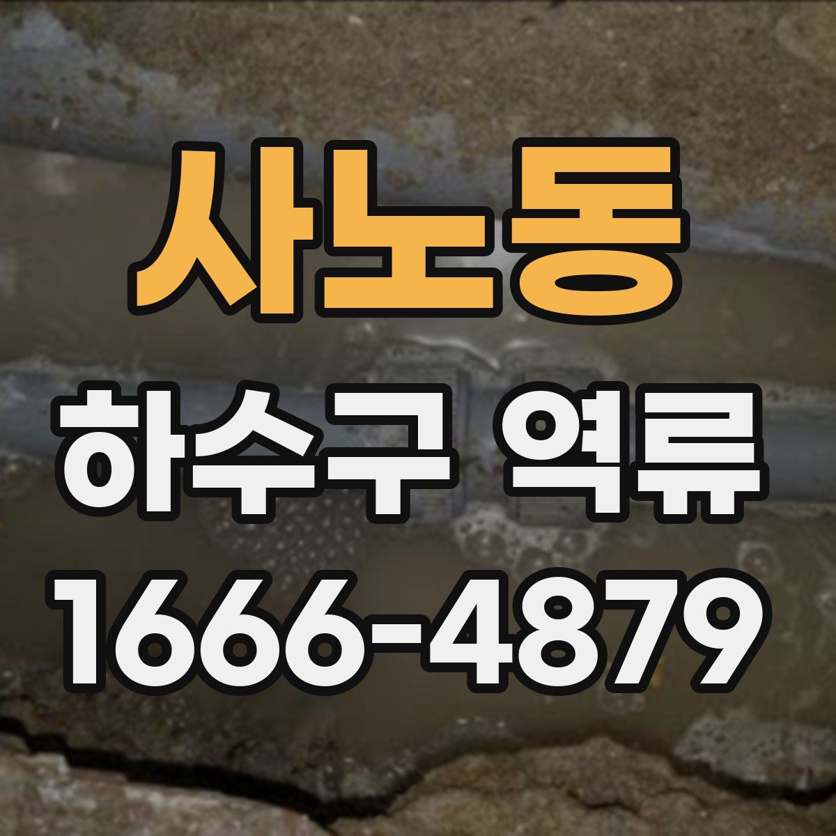 사노동 하수구 역류