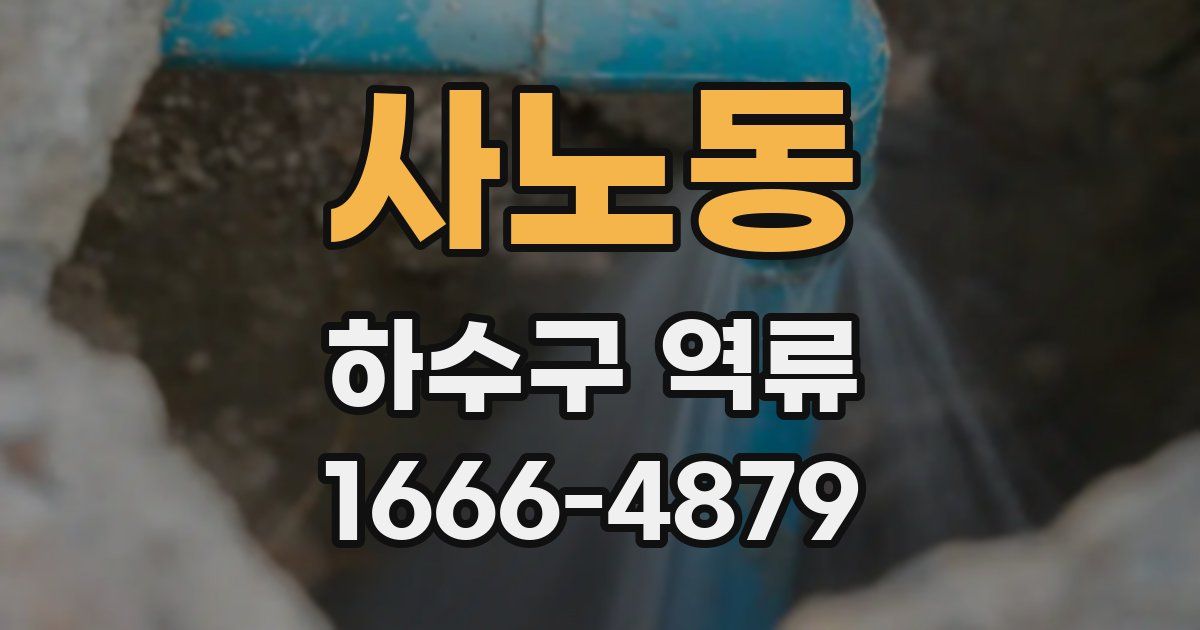 사노동 하수구 역류