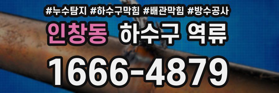 인창동 하수구 역류