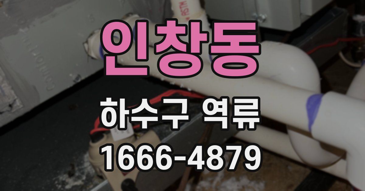 인창동 하수구 역류