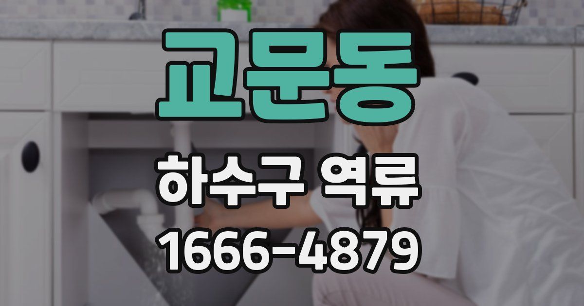 교문동 하수구 역류