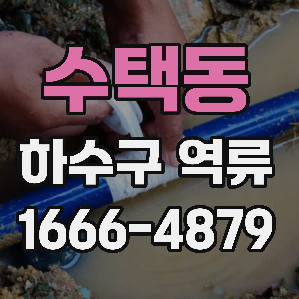 수택동 하수구 역류