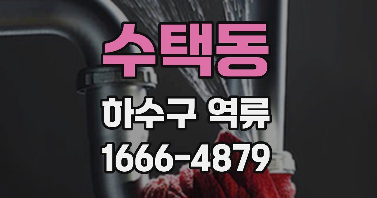 수택동 하수구 역류