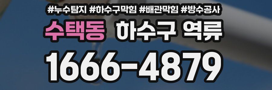 수택동 하수구 역류