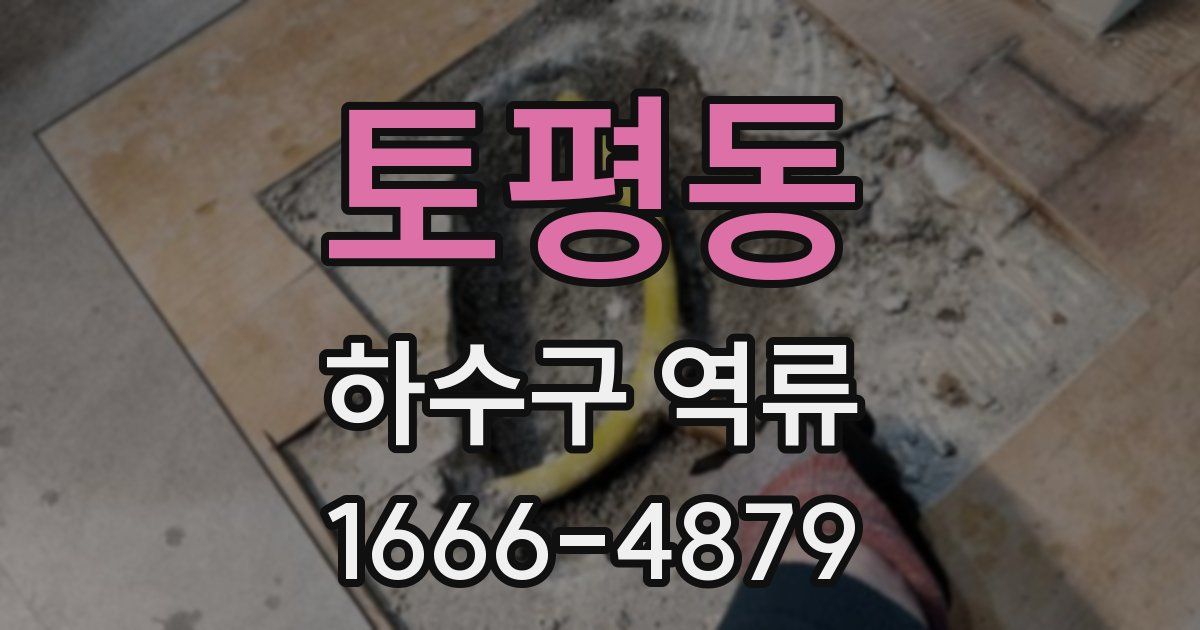 토평동 하수구 역류