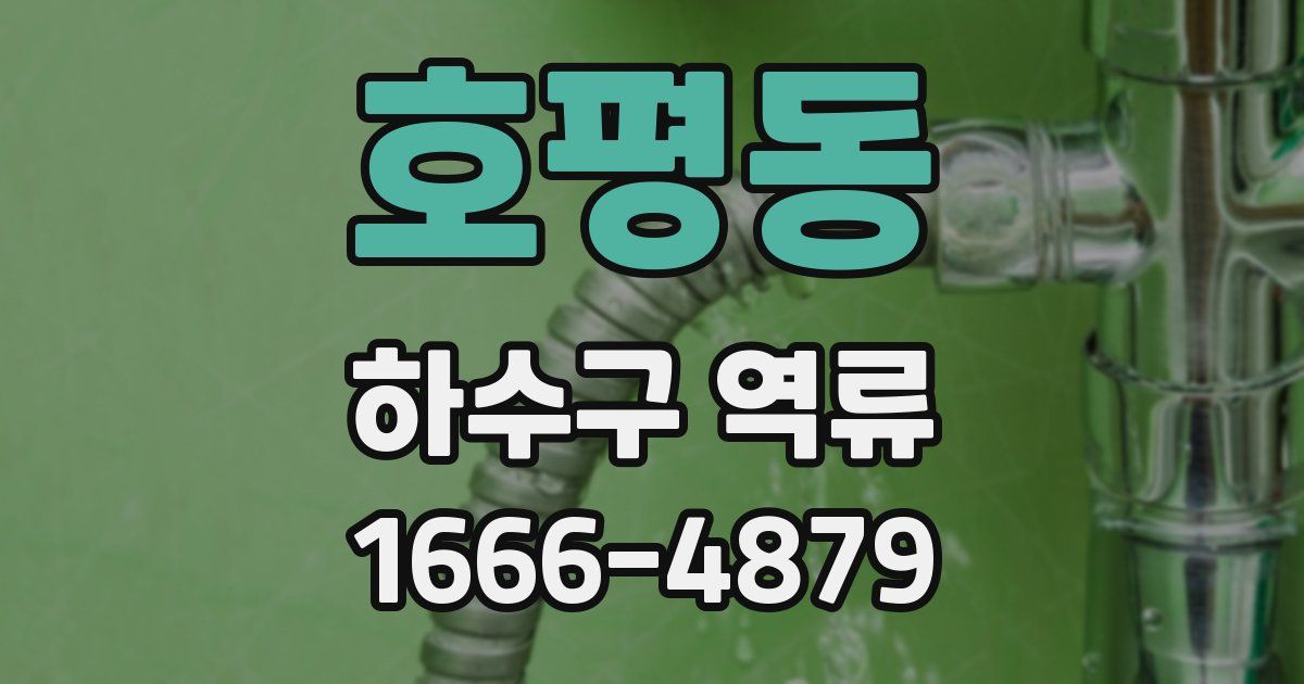 호평동 하수구 역류