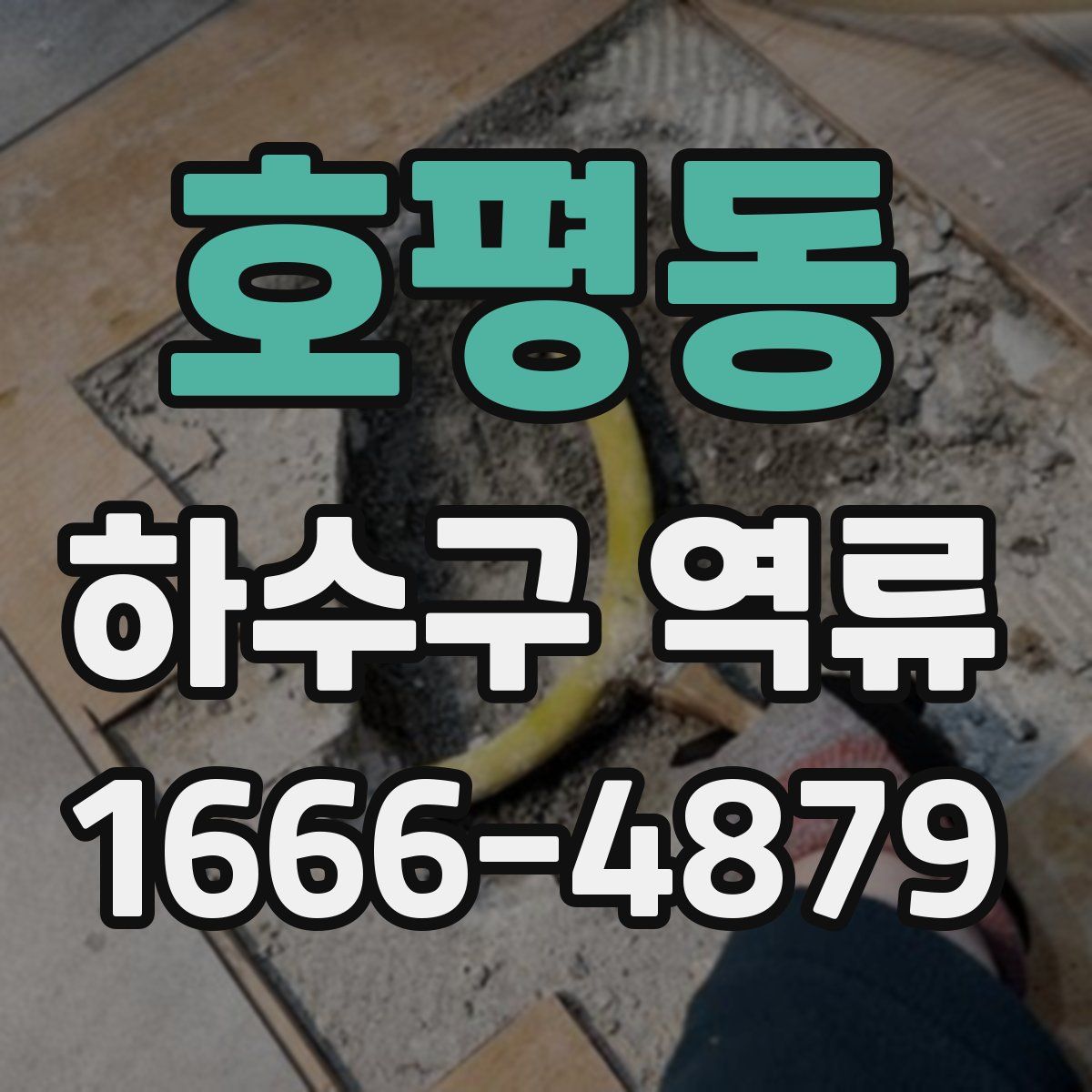 호평동 하수구 역류