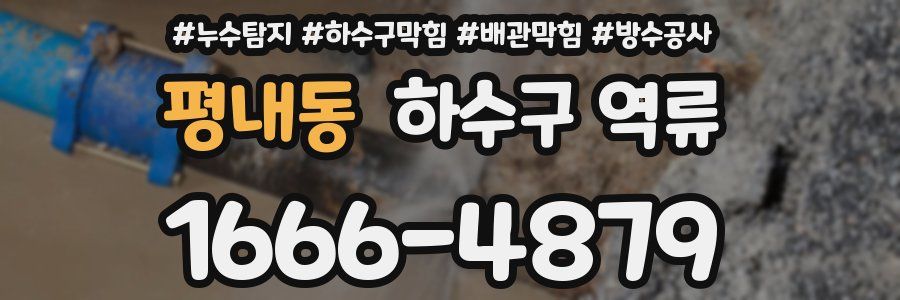 평내동 하수구 역류