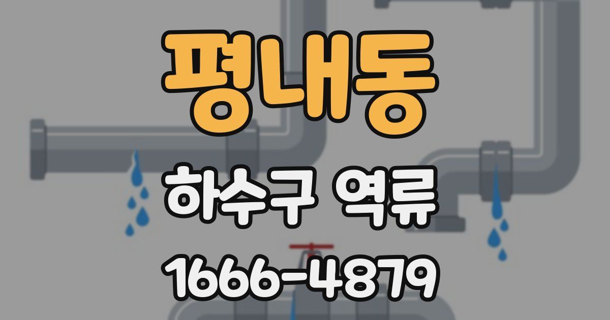 평내동 하수구 역류