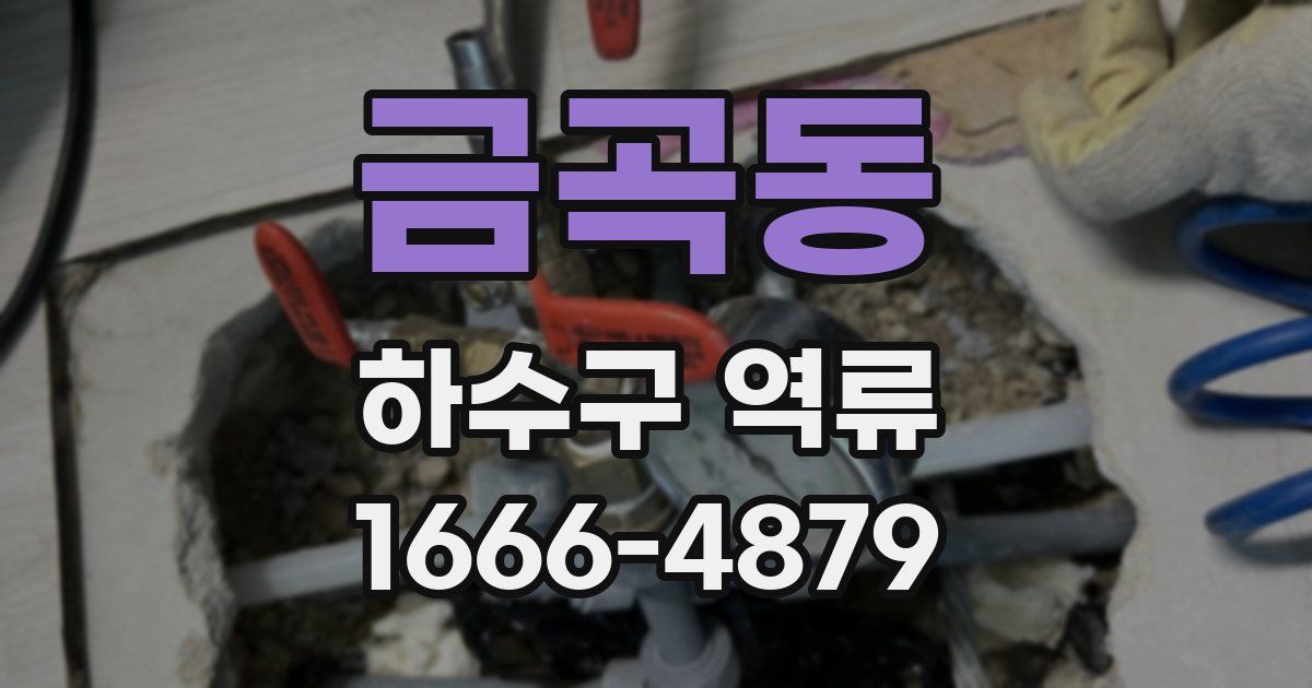 금곡동 하수구 역류