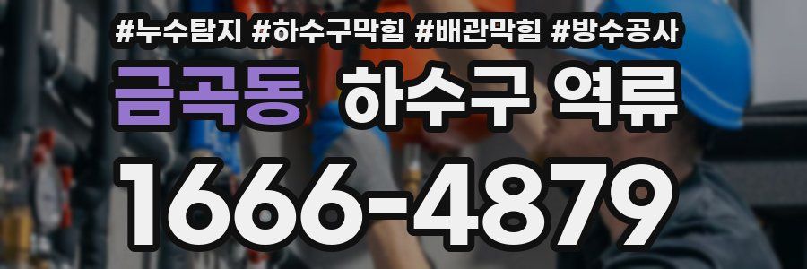 금곡동 하수구 역류