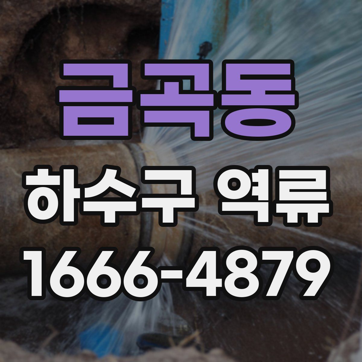 금곡동 하수구 역류