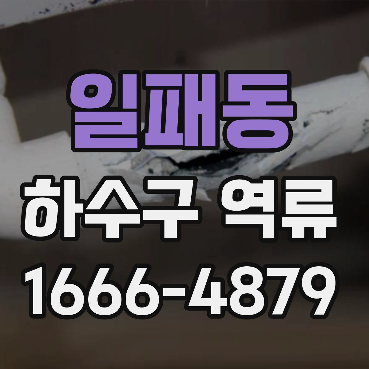 일패동 하수구 역류