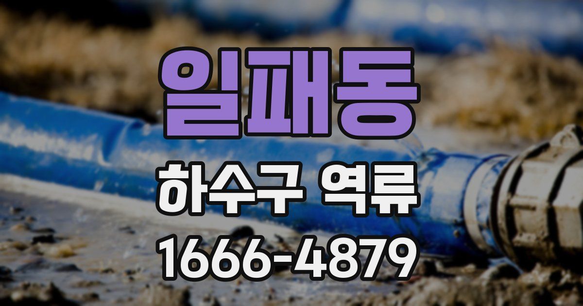 일패동 하수구 역류