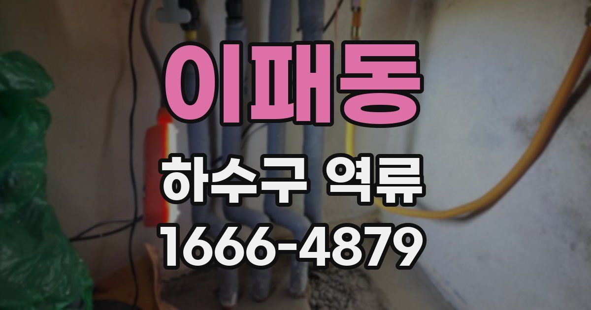 이패동 하수구 역류