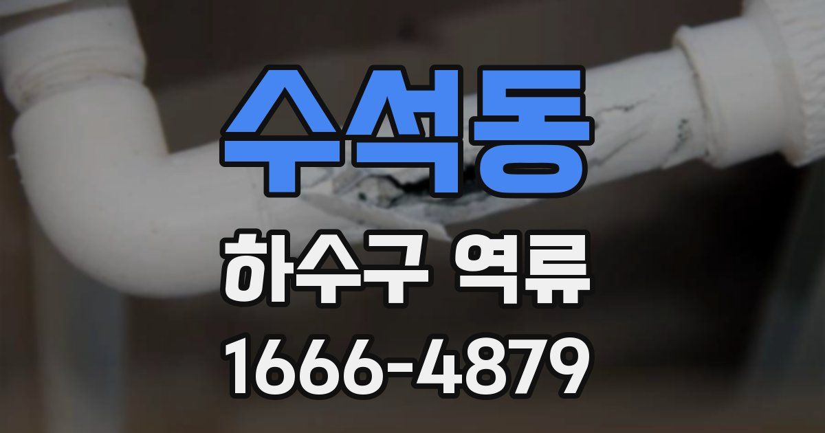 수석동 하수구 역류
