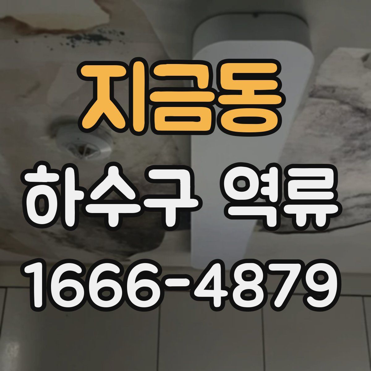 지금동 하수구 역류