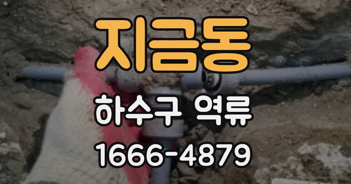 지금동 하수구 역류