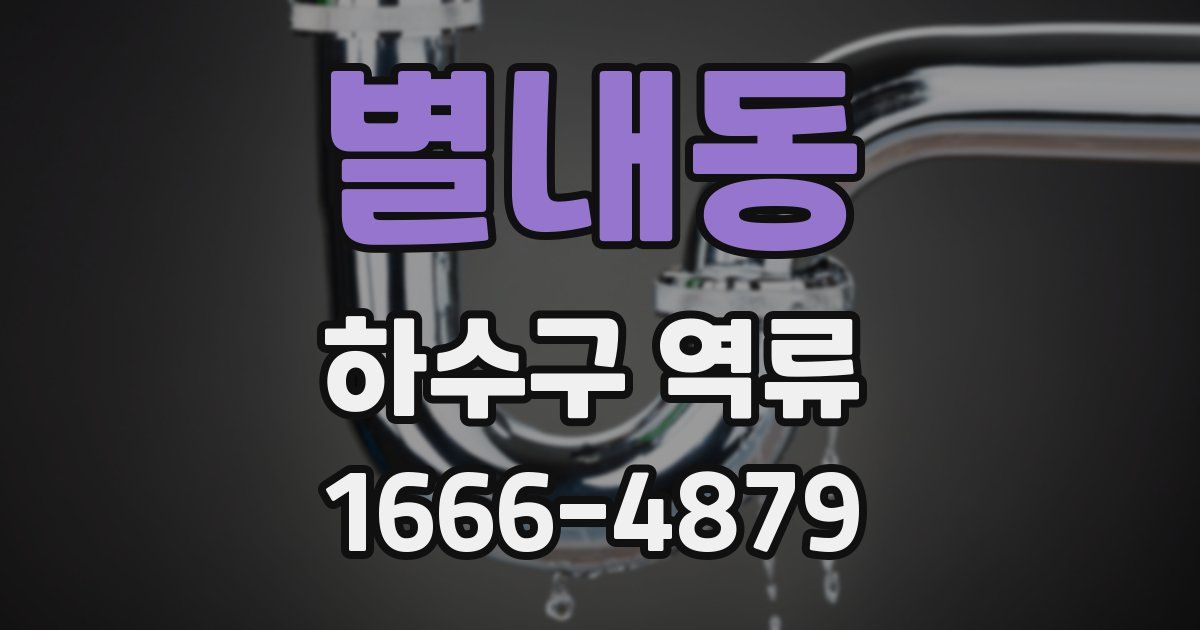 별내동 하수구 역류