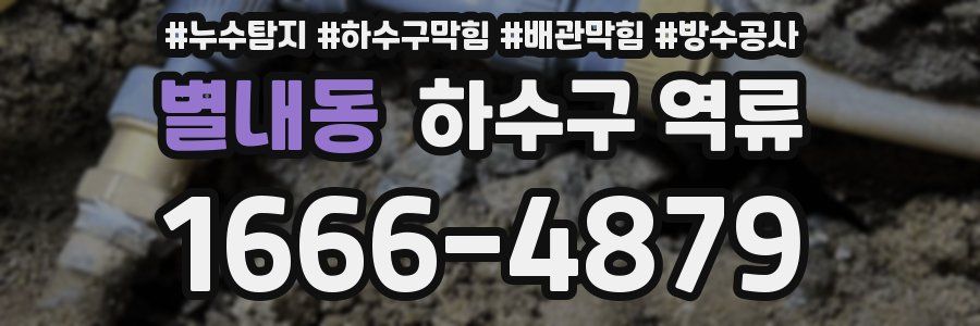 별내동 하수구 역류