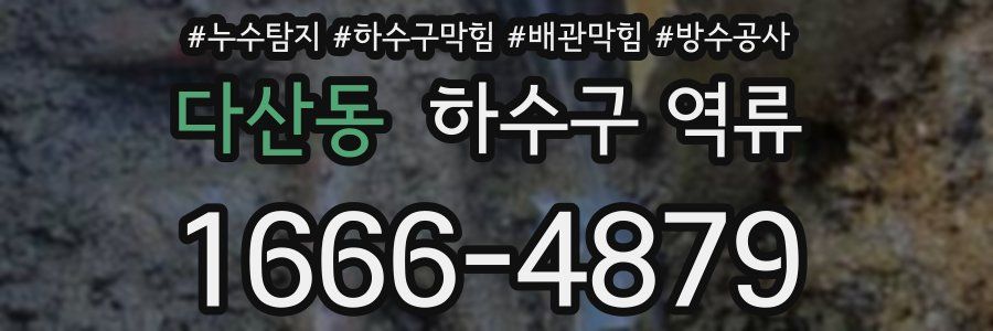 다산동 하수구 역류