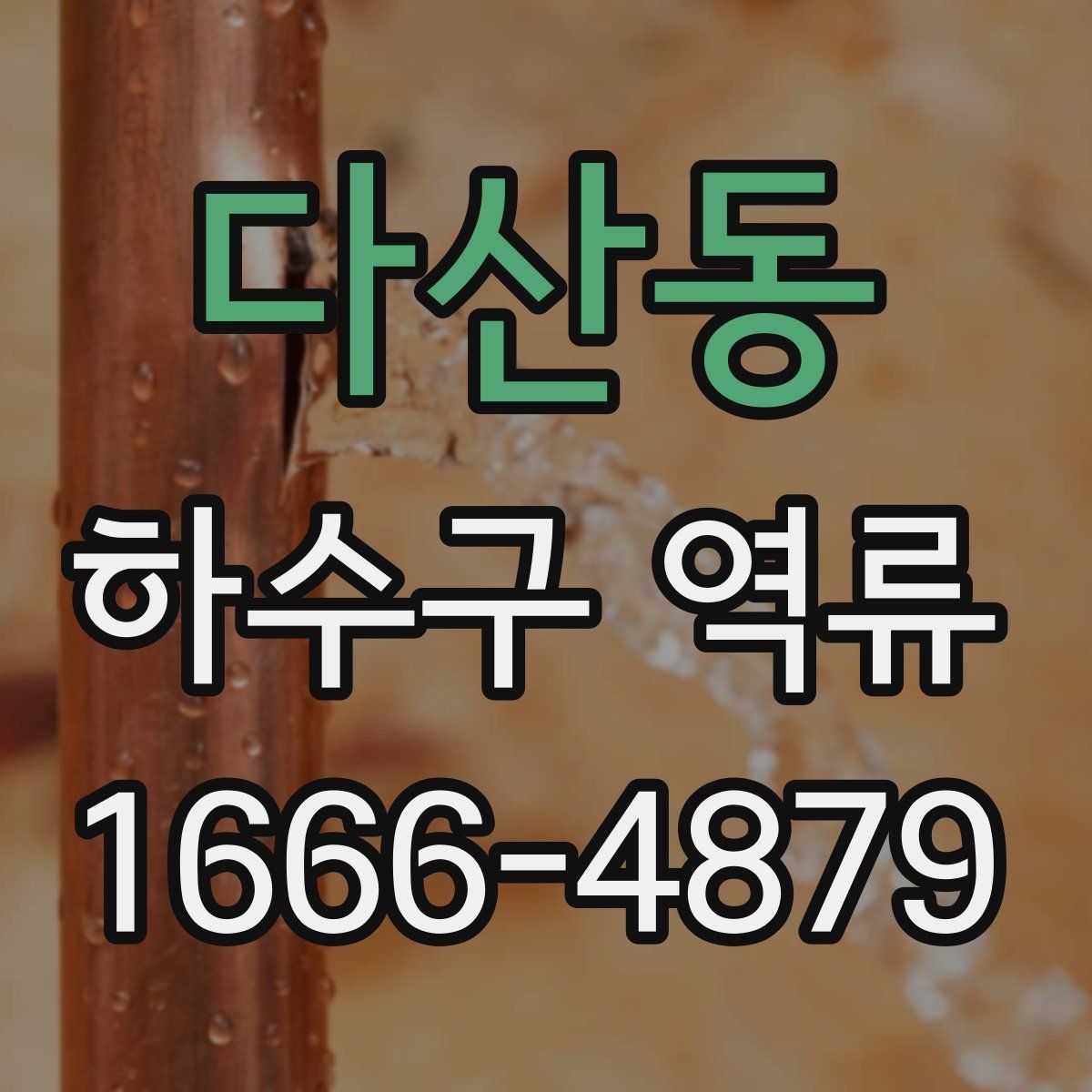 다산동 하수구 역류