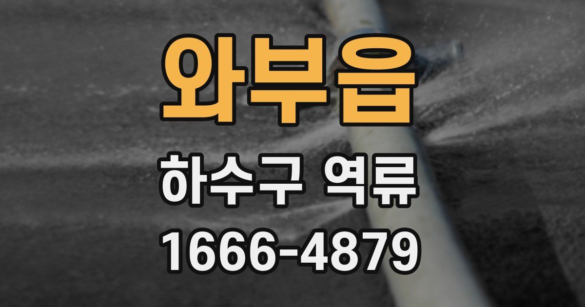 와부읍 하수구 역류