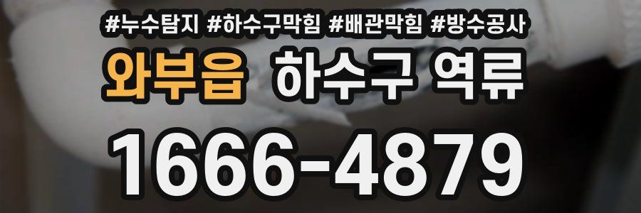 와부읍 하수구 역류