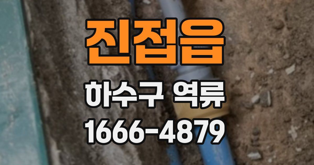 진접읍 하수구 역류